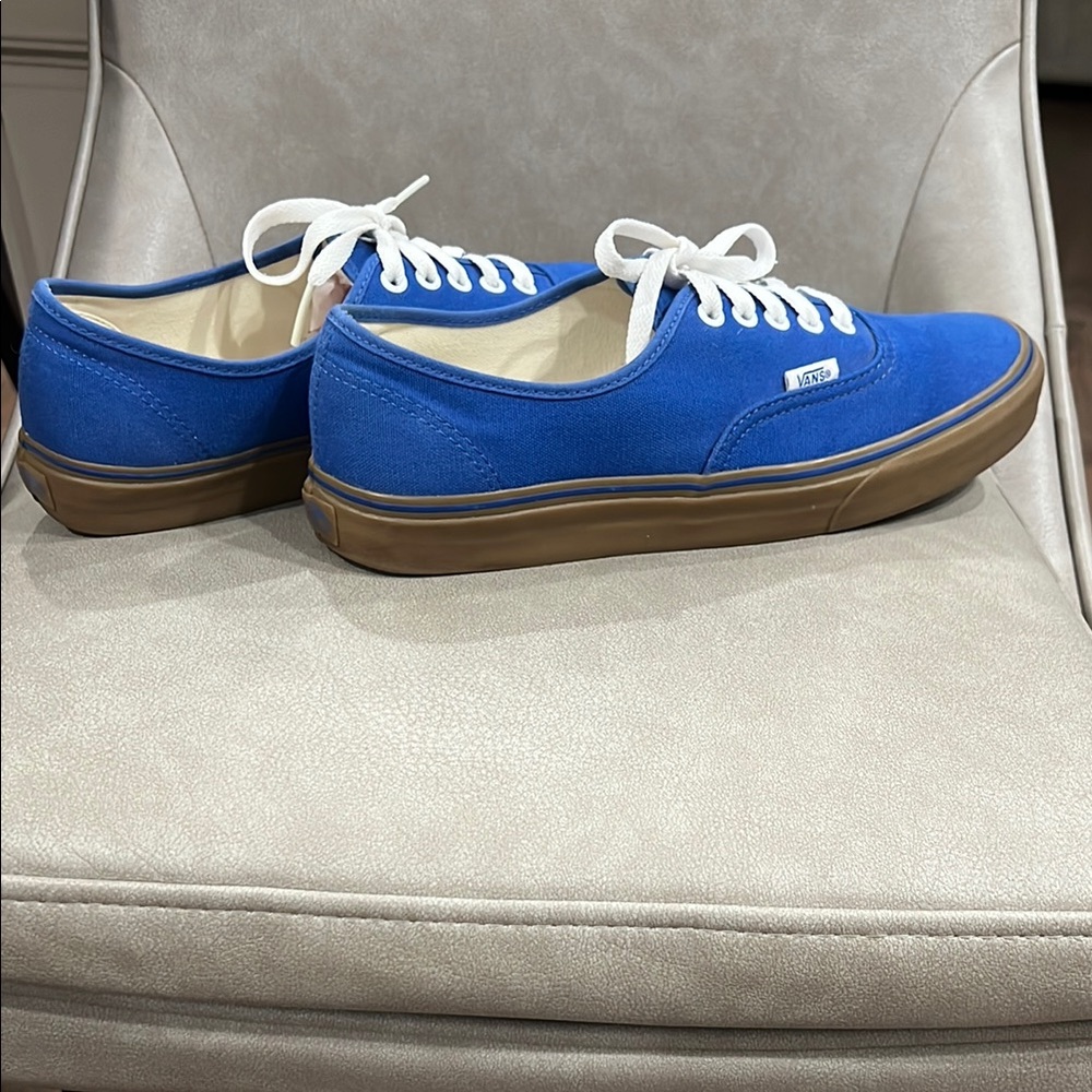 Vans Men's Blue Canvas Sneakers